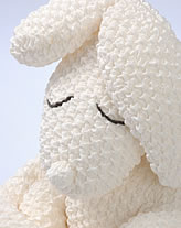 ���̎q�D��